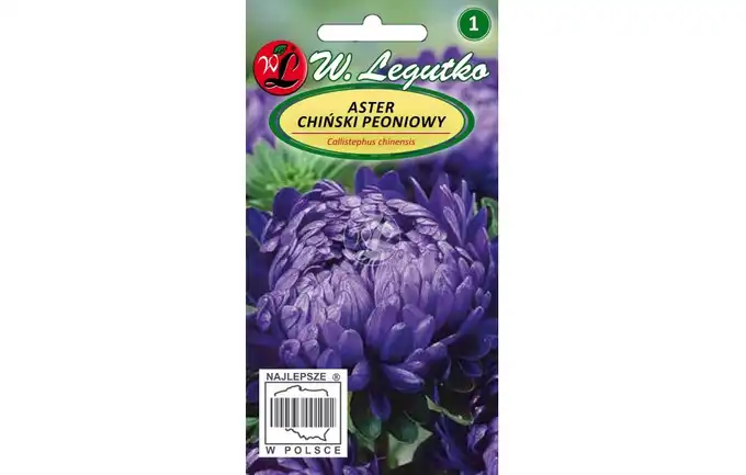 NASIONA ASTER PEONIOWY FIOLETOWY 1G LEGUTKO GRC1