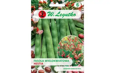 NASIONA FASOLA KARŁOWA WIELKOKWIATOWA HESTIA 20G LEGUTKO GRC3