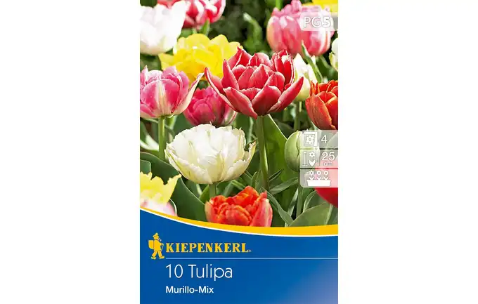 CEBULE KWIATOWE TULIPAN MURILLO MIX 00505100-000-00